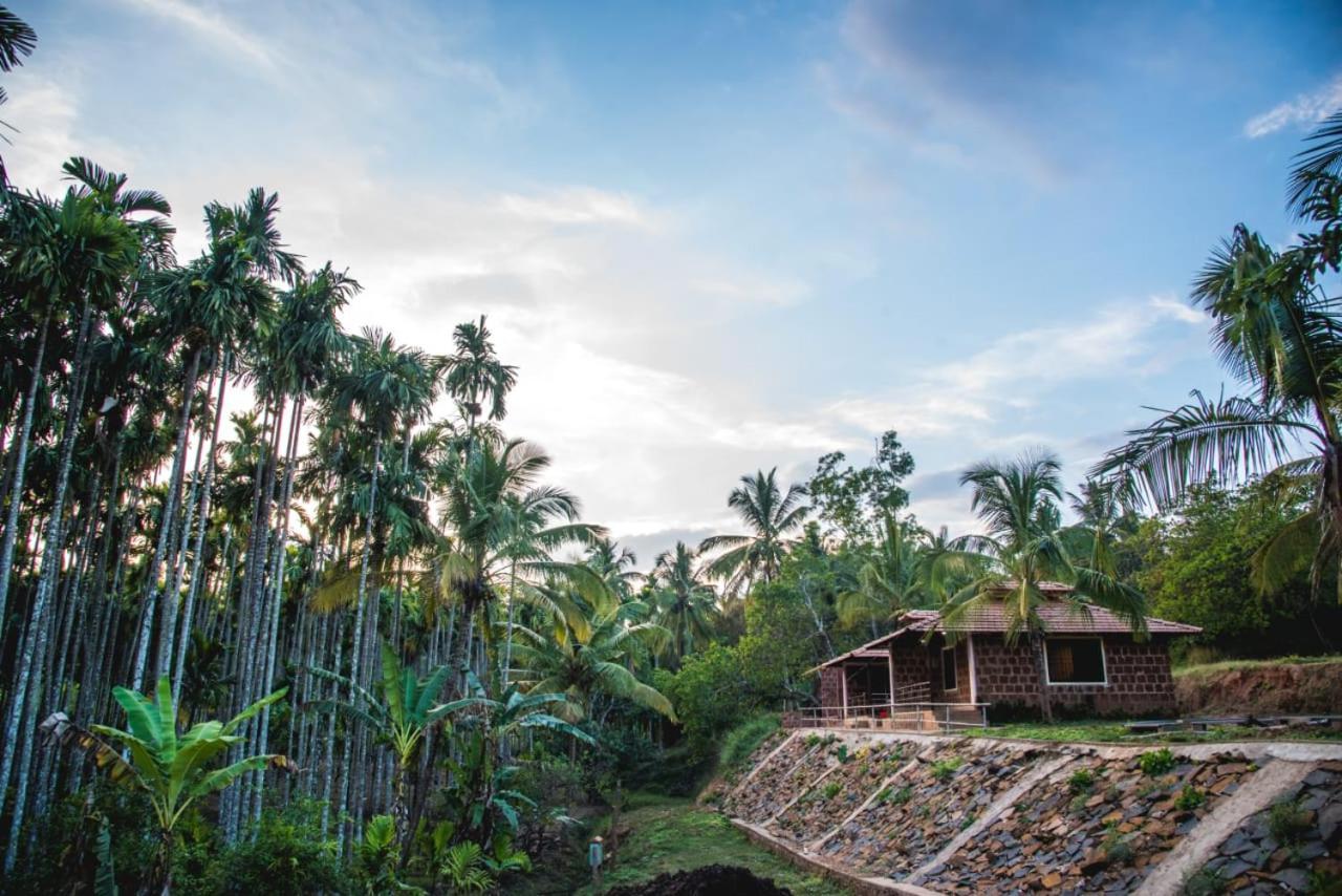 Dandeli Jungle Resort 외부 사진