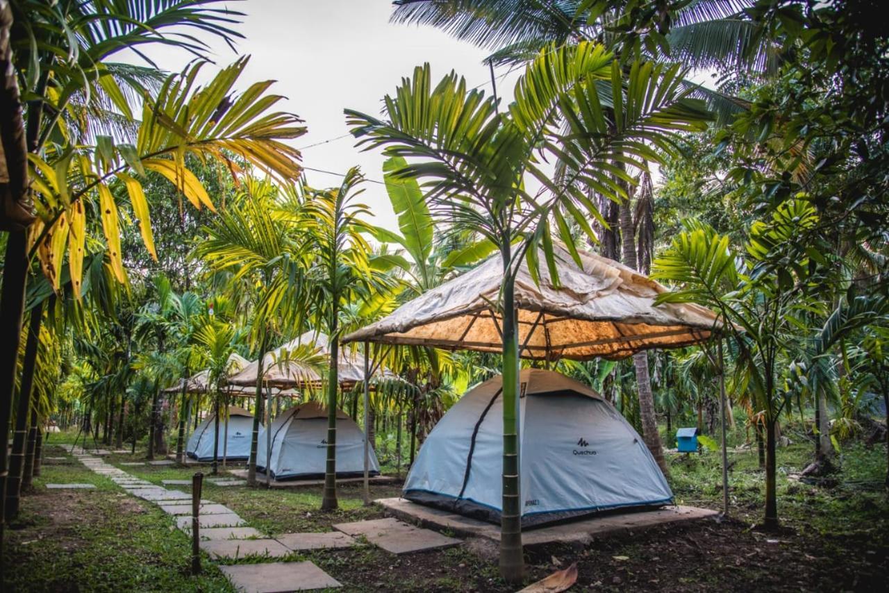 Dandeli Jungle Resort 객실 사진